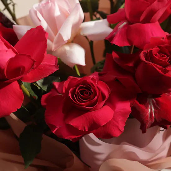 Stunning Roses Bouquet