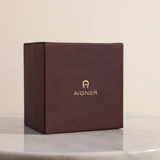 Aigner Ravenna Due Women’s Watch
