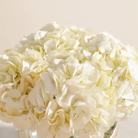 Zahi Diffuser with Scented Sticks | Heartfelt Flower Vase