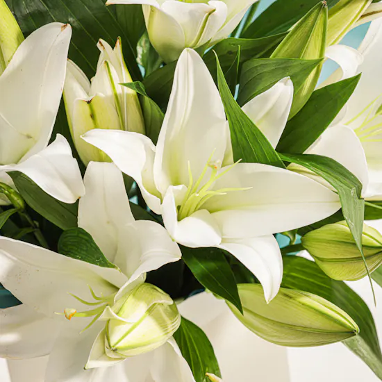 Poetic Grace White Lily Bouquet