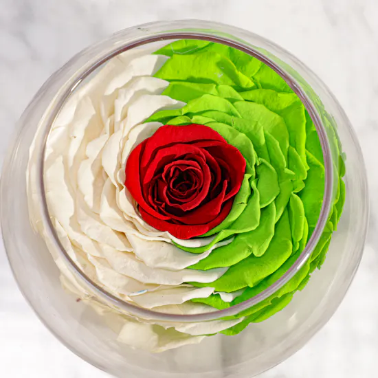 Magical Preserved Rose Vase