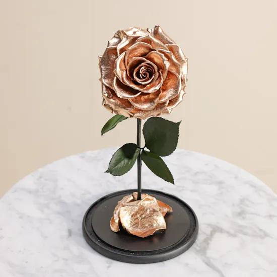 Shiny Gold Single Preserved Rose Dome