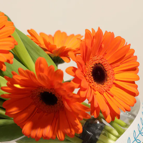 Feel Good Tea Mini Box | Bright Flowers