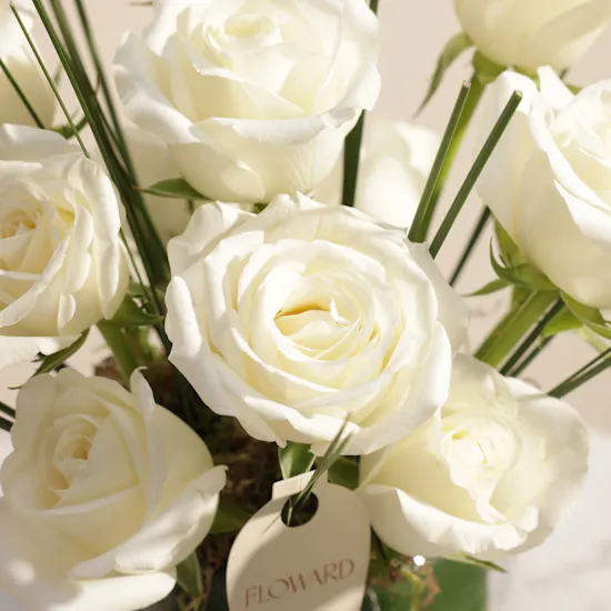 Royal White Roses Vase