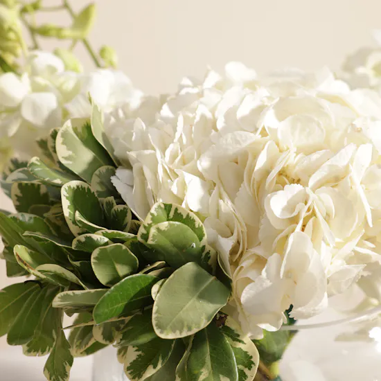 Floward Luxurious Chocolate Small Box | Pride We Inherit Flower Vase