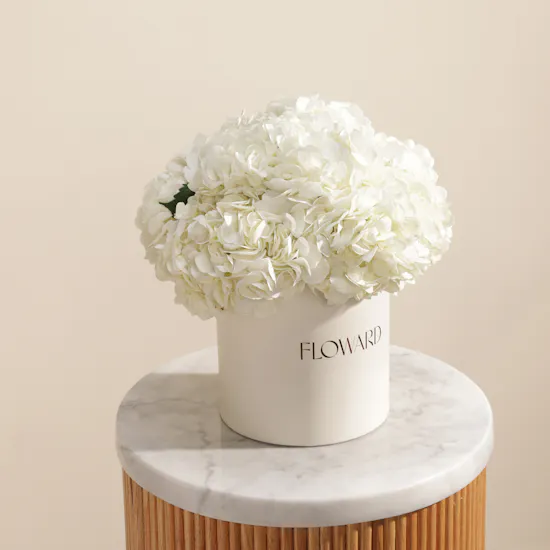 Magical White Hydrangea Box | 8 Flowers