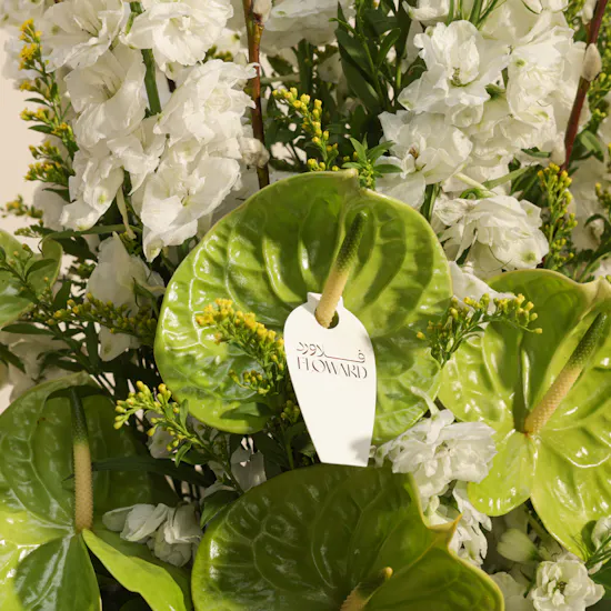 Soft Awakening Flowers Vase