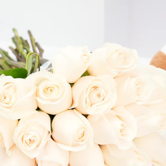 Floward Plush Cow with 25 White Roses Bouquet