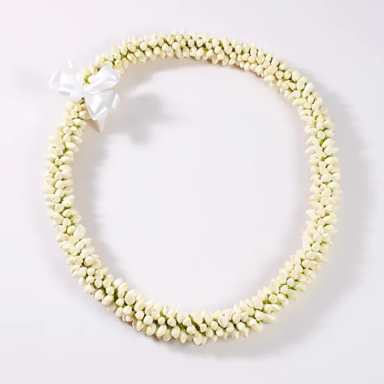 Jasmin Flowers Necklace