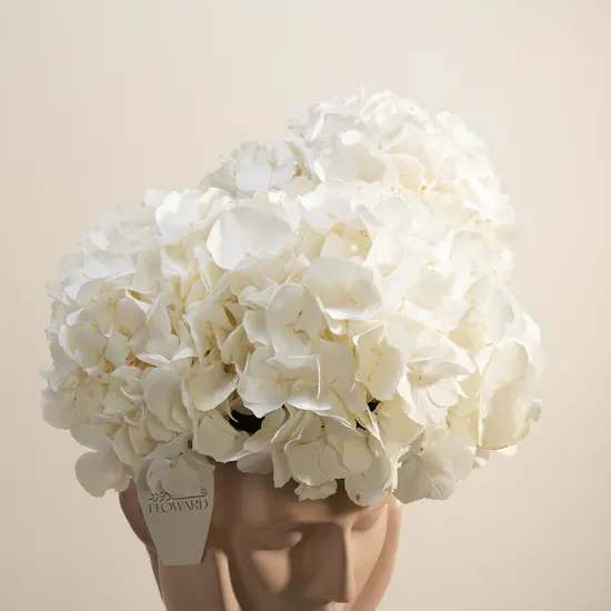 Delicate Beauty White Hydrangea Vase