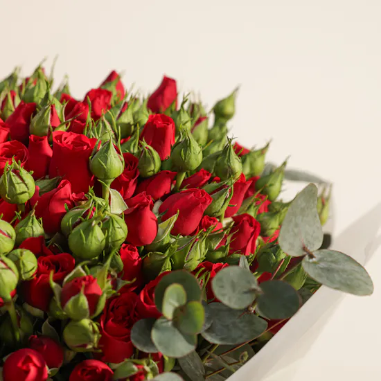 Dar Al Sabaek ¼ Lera Gold | Red Baby Roses