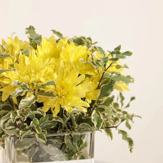 Floward Sending You a Hug Cake | Bright Flowers Vase