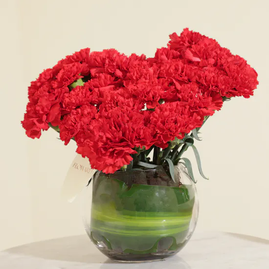 Velvet Promise Duo Carnation Vase
