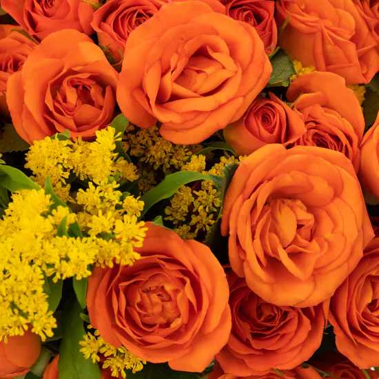 Orange Baby Roses | Ceramic Vase