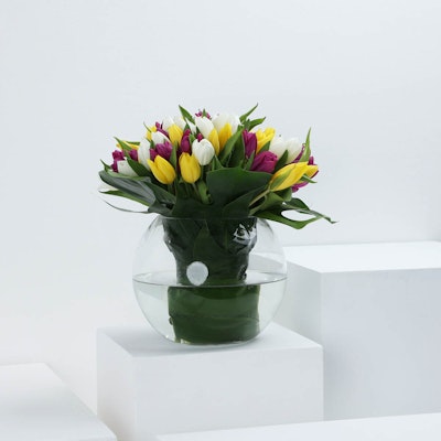 Colors of Tulips | glass vase