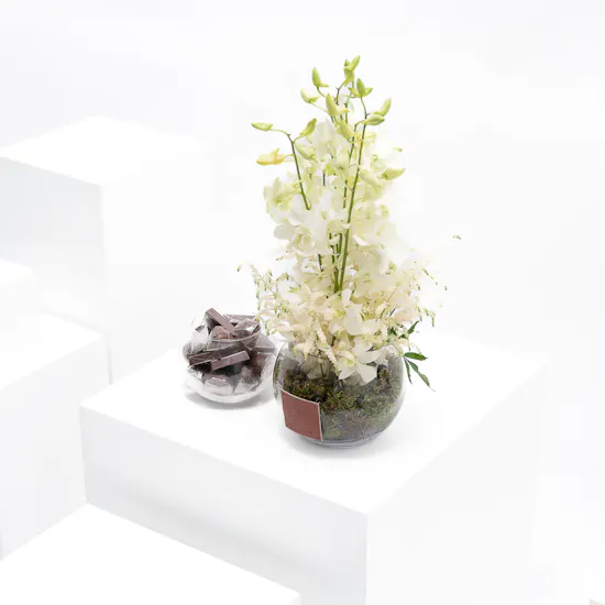 Floward Mixed Chocolates | White Blooms Vase