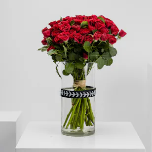 Flaming Red baby rose | Cylinder Vase