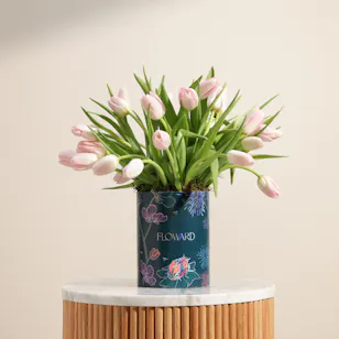 Gentle Pink Tulip Box | 30 Flowers