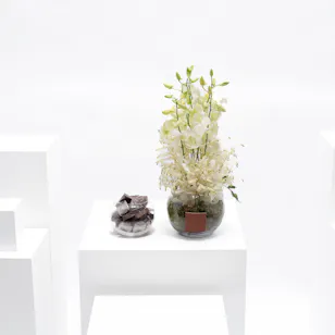 Floward Mixed Chocolates | White Blooms Vase