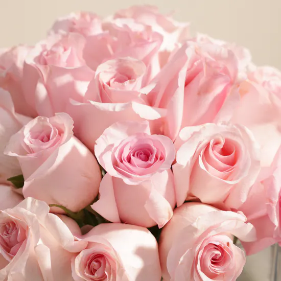 Beautiful Pink Rose Vase | 35 Roses