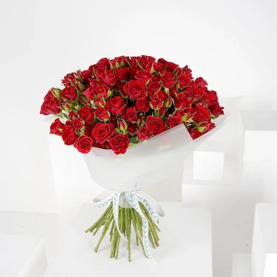 70 Baby Red Roses | White Wrap 2