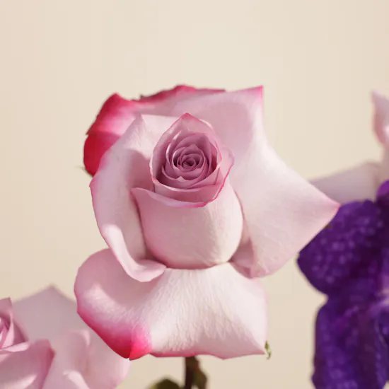 Anoosh It's A Girl Luxurious Chocolate Tray | Festive Flower Vase