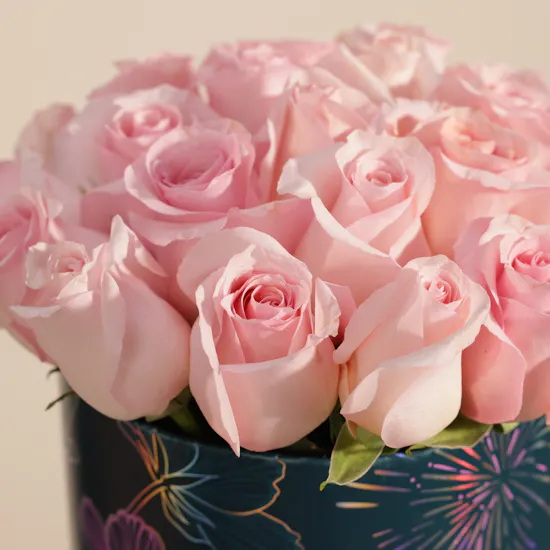 Blush Light Pink Rose Box | 25 Flowers