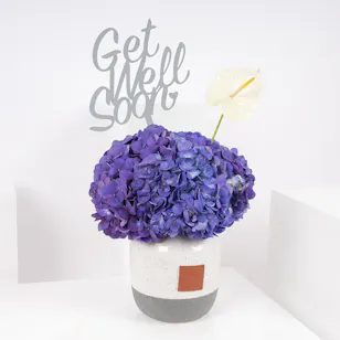 Delicate Hydrangeas Vase | Get Well Soon 