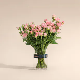 Pink Lovely Thoughts Baby Rose Vase | 18 Flowers