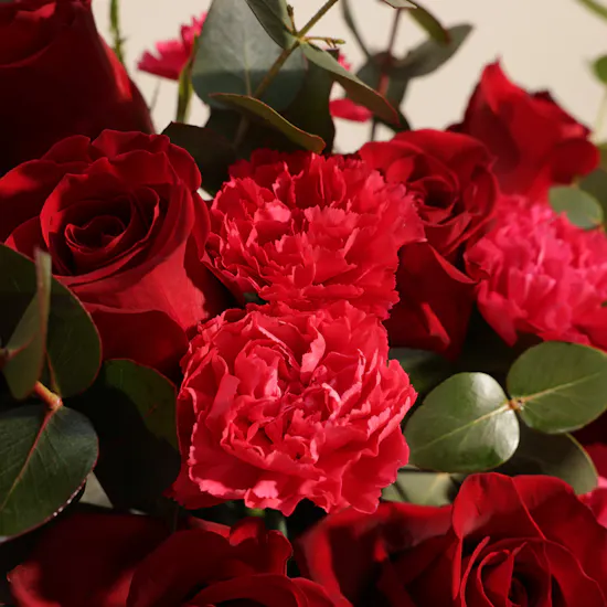 Crimson Celebration Flower Vase