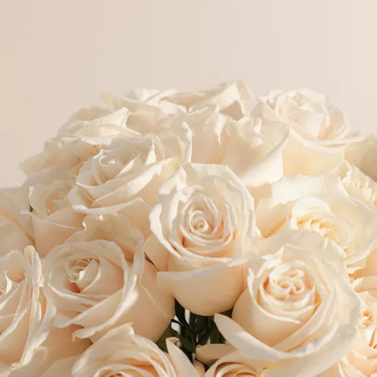 Mubkhar All Over Spray | White Roses Vase