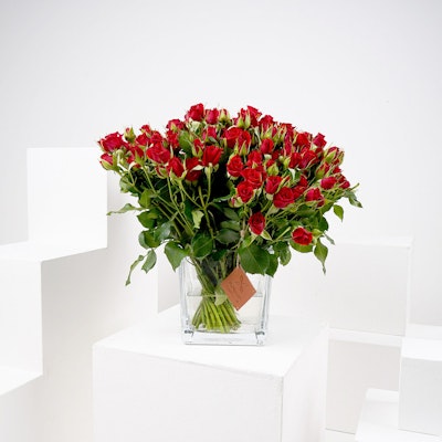 Large Red Baby Roses Square Vase