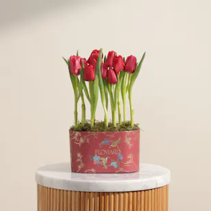 Forever Red Tulip Box | 12 Flowers
