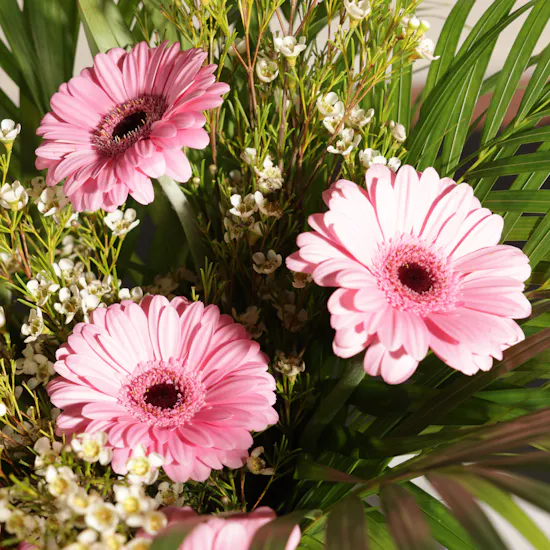 Natural Elegant Gerbera Vase
