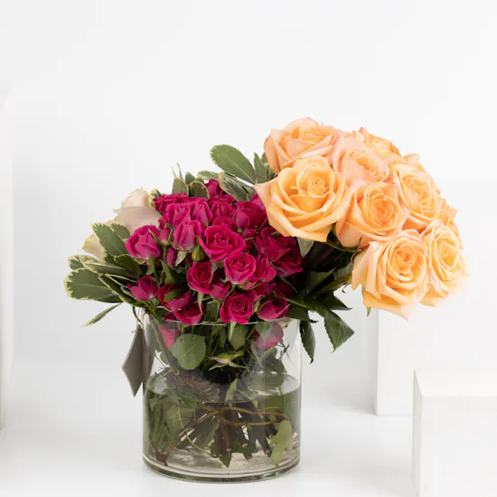 12 Peach Roses | Cylinder