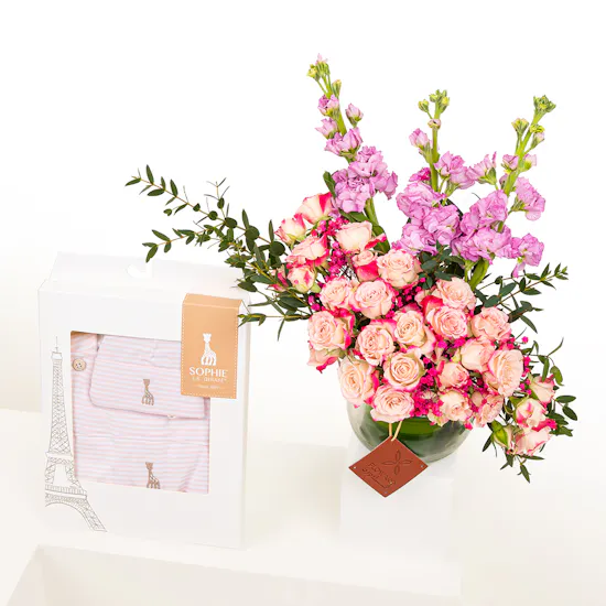Dee Mama Sophie La Girafe Princess Set | Pink Matthiola