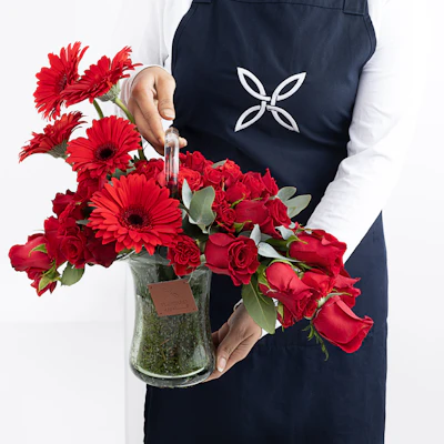 Red Riding Hood Red Riding Hood