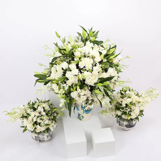 White Flowers Set