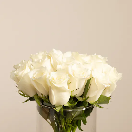 White Roses | Cylinder Glass Vase