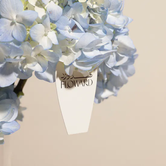 Double Hydrangea & Orchid Flowers Vase