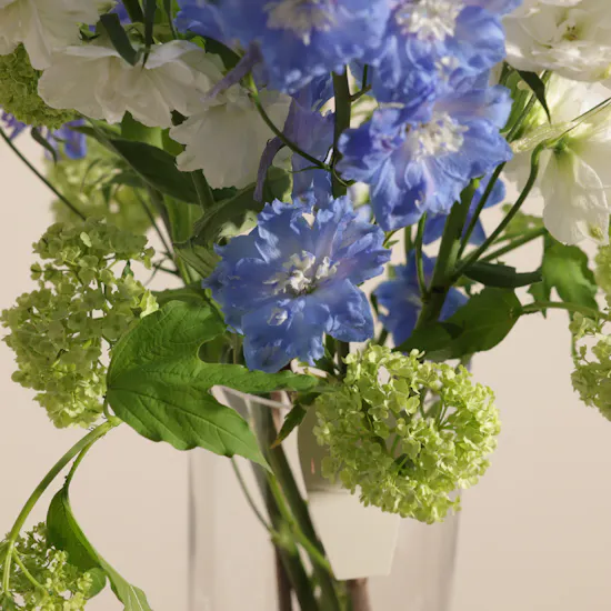 Delphinium Cloud Vase