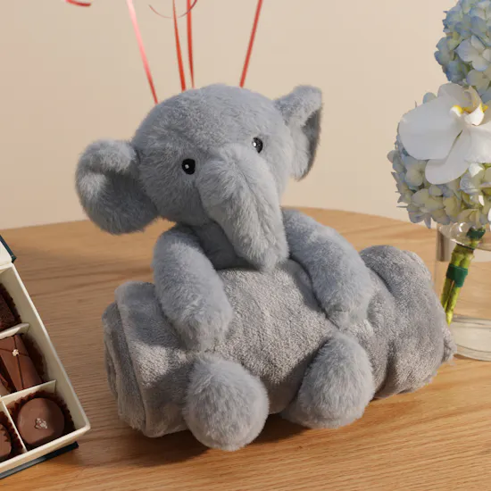 Little Prince Welcome Gift Set