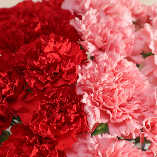Radiance Carnations Vase