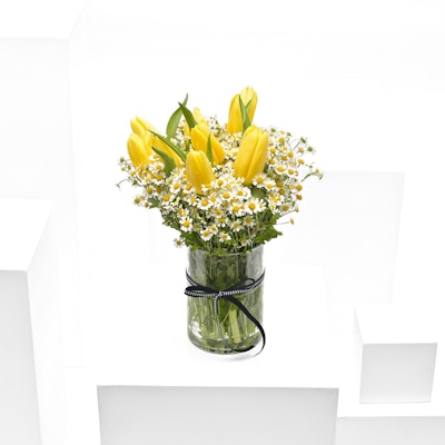 Chamomile & Yellow Tulip | Cylinder Vase