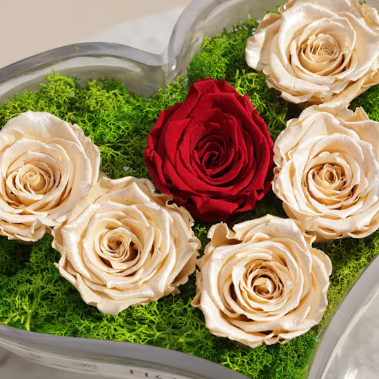 Preserved Elegant Rose Heart Vase