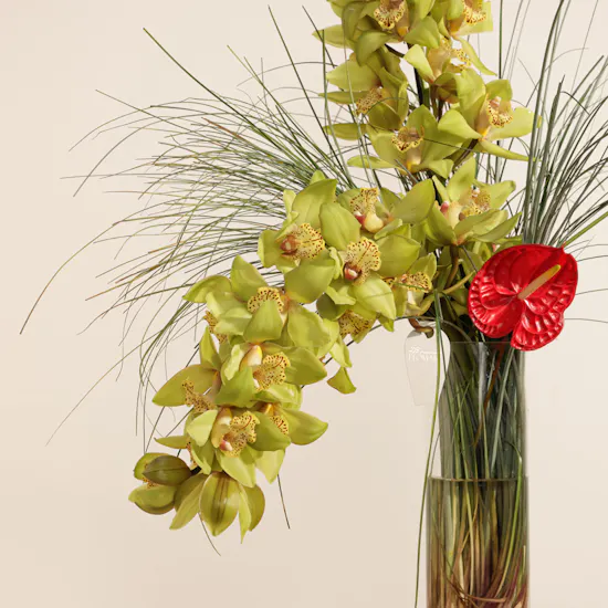 Vibrant Beauty Vase
