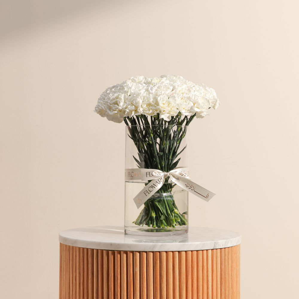 مزهرية كارنيشن بيضاء ساحرة 