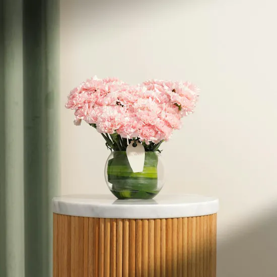 Graceful Pink Carnation Vase