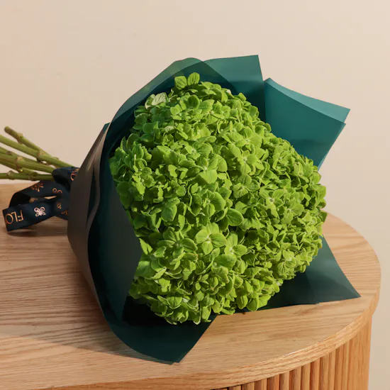 Enchanting Green Hydrangea Bouquet
