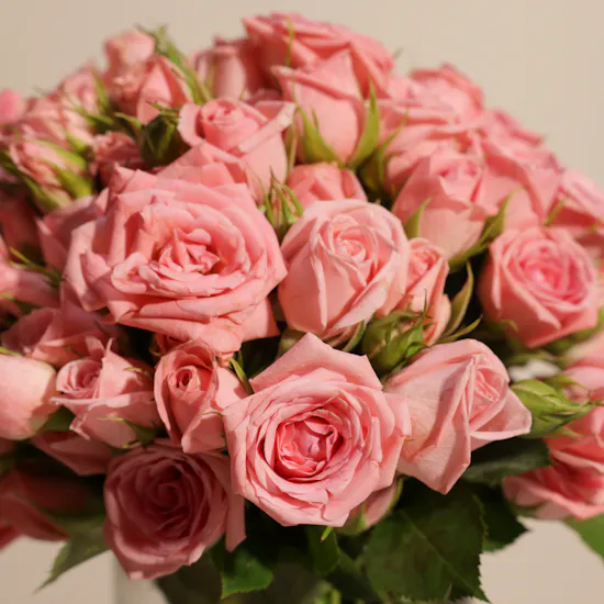 Delicate Pink Baby Roses Vase